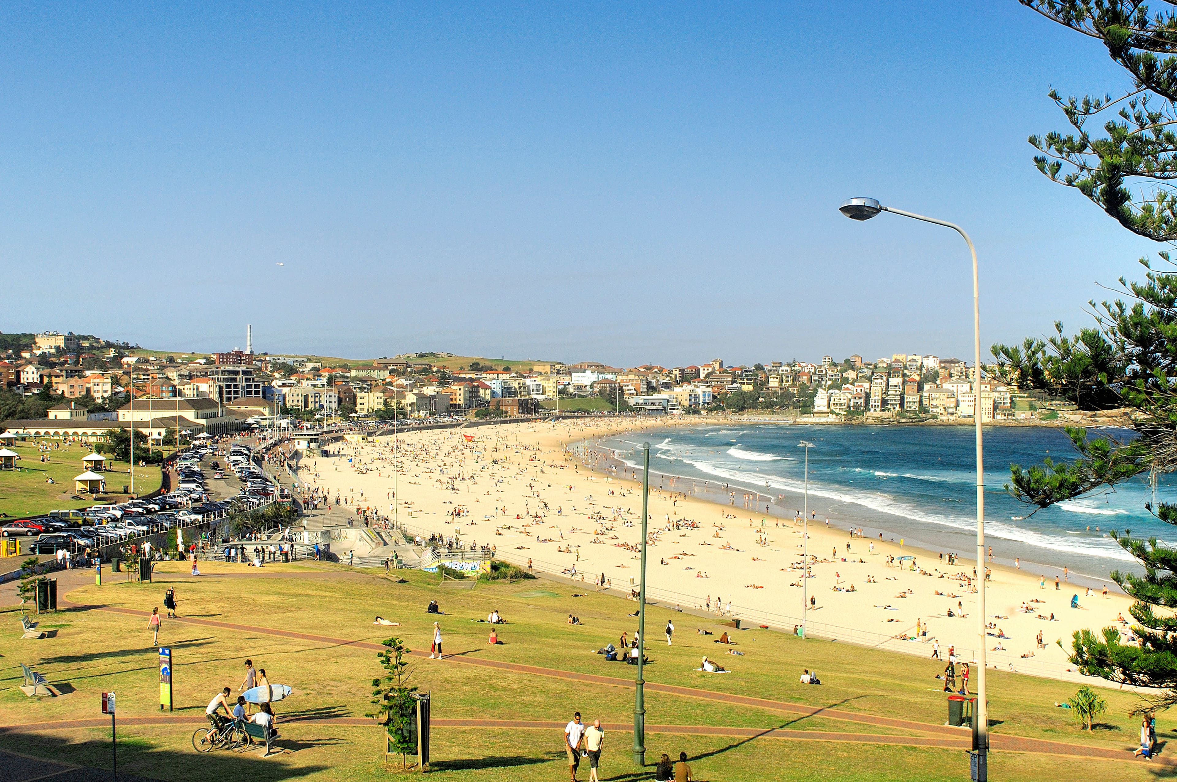 49 Francis Street, Bondi Beach NSW 2026, Bondi Beach - Thumbnail 7