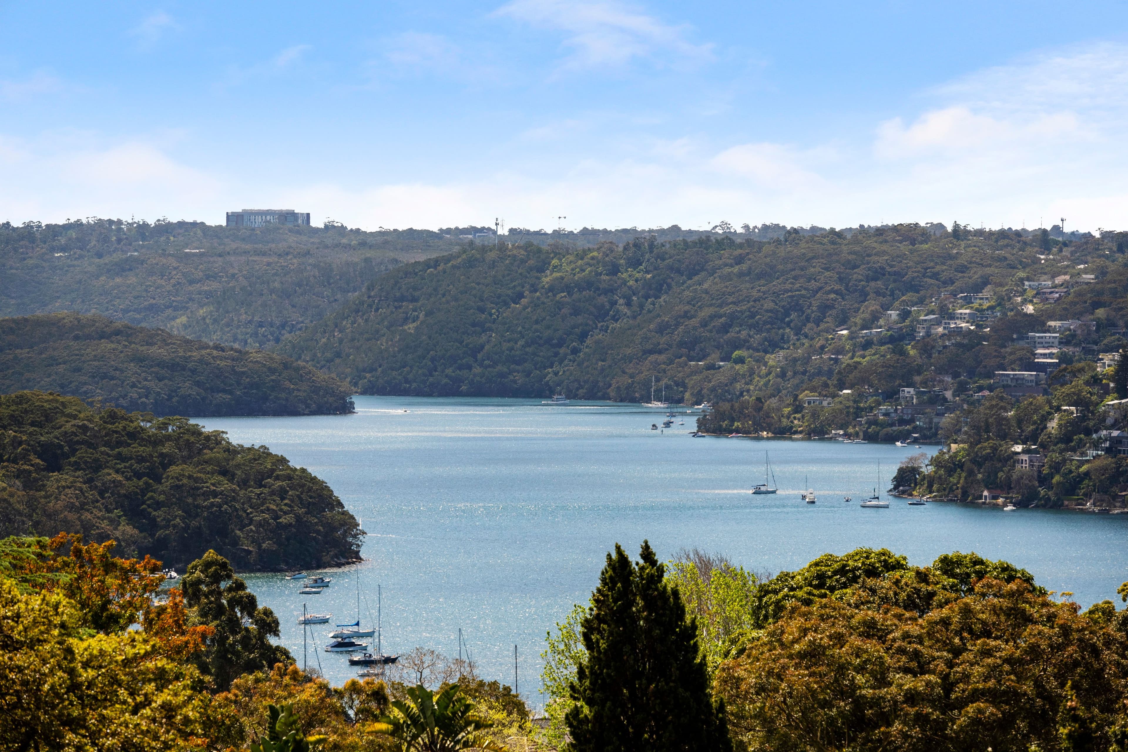 74 Macpherson Street, Cremorne NSW 2090, Cremorne - Thumbnail 2