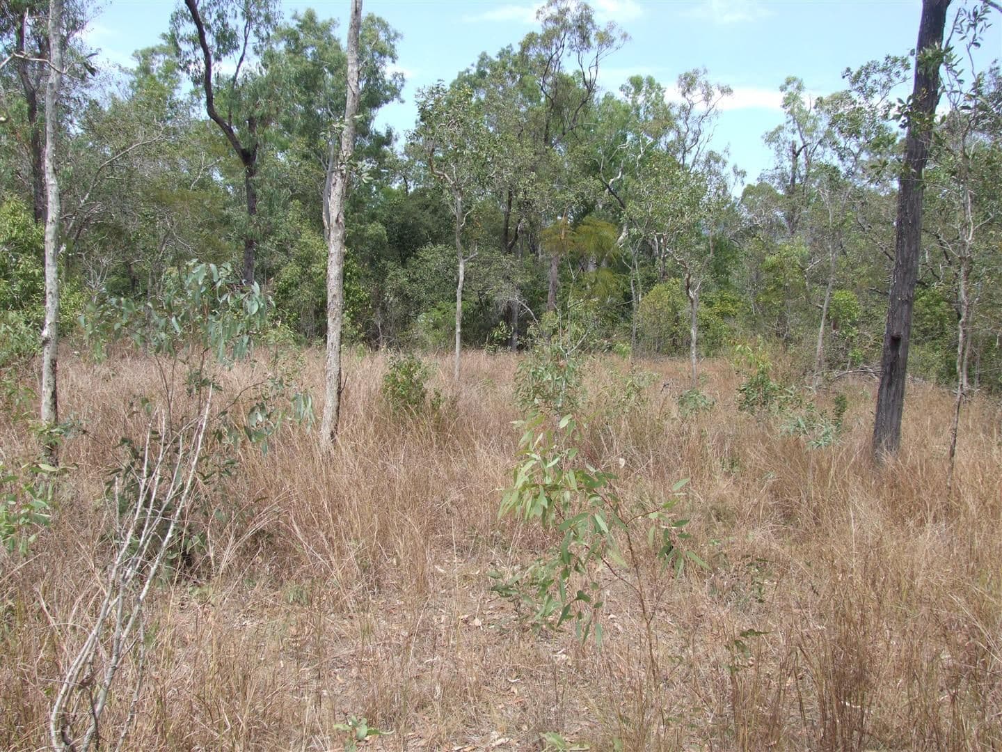 Lot 11 Thorohgood Road, KELSEY CREEK QLD 4800, Kelsey Creek - Thumbnail 2