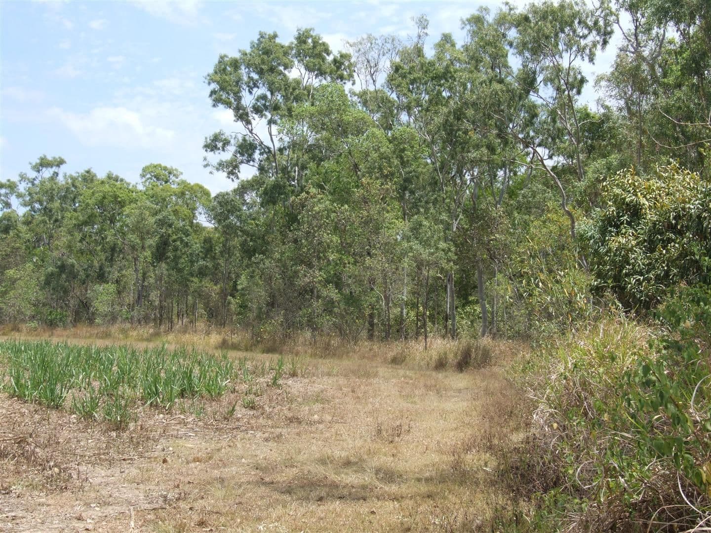 Lot 11 Thorohgood Road, KELSEY CREEK QLD 4800, Kelsey Creek - Thumbnail 3