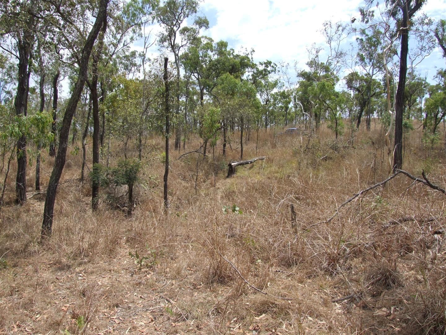 Lot 11 Thorohgood Road, KELSEY CREEK QLD 4800, Kelsey Creek - Thumbnail 4