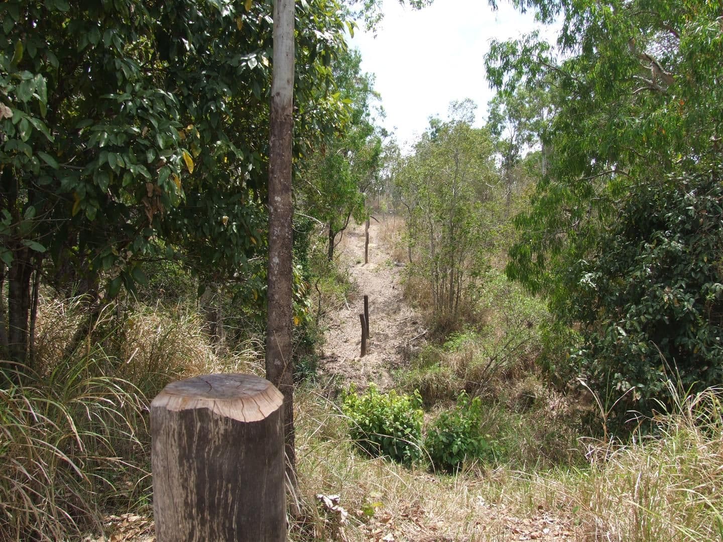 Lot 11 Thorohgood Road, KELSEY CREEK QLD 4800, Kelsey Creek - Thumbnail 5