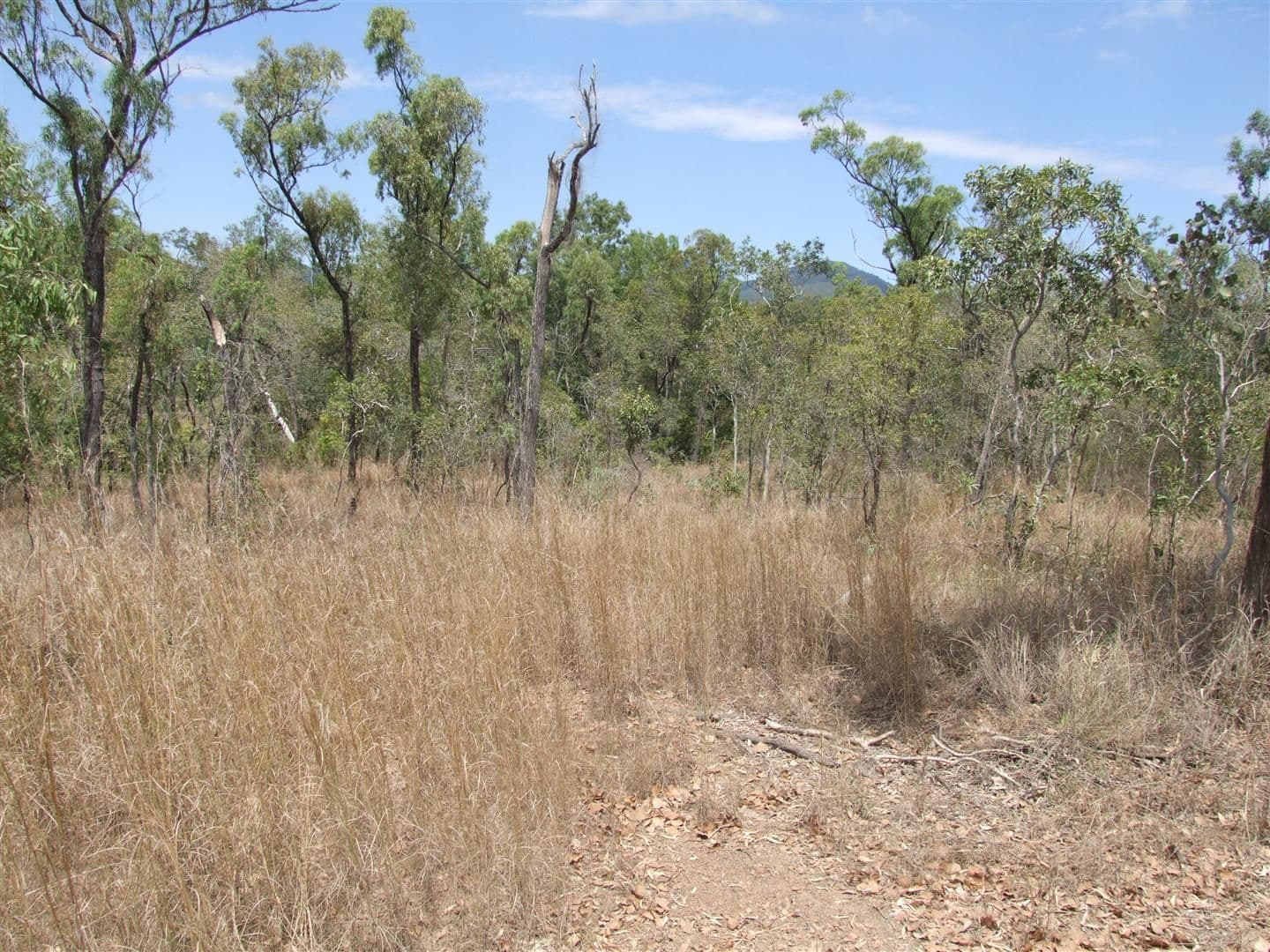 Lot 11 Thorohgood Road, KELSEY CREEK QLD 4800, Kelsey Creek - Thumbnail 6