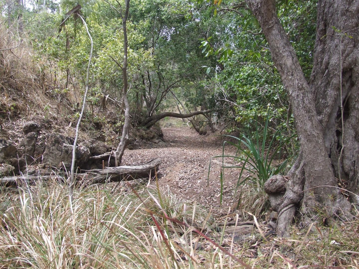Lot 11 Thorohgood Road, KELSEY CREEK QLD 4800, Kelsey Creek - Thumbnail 7