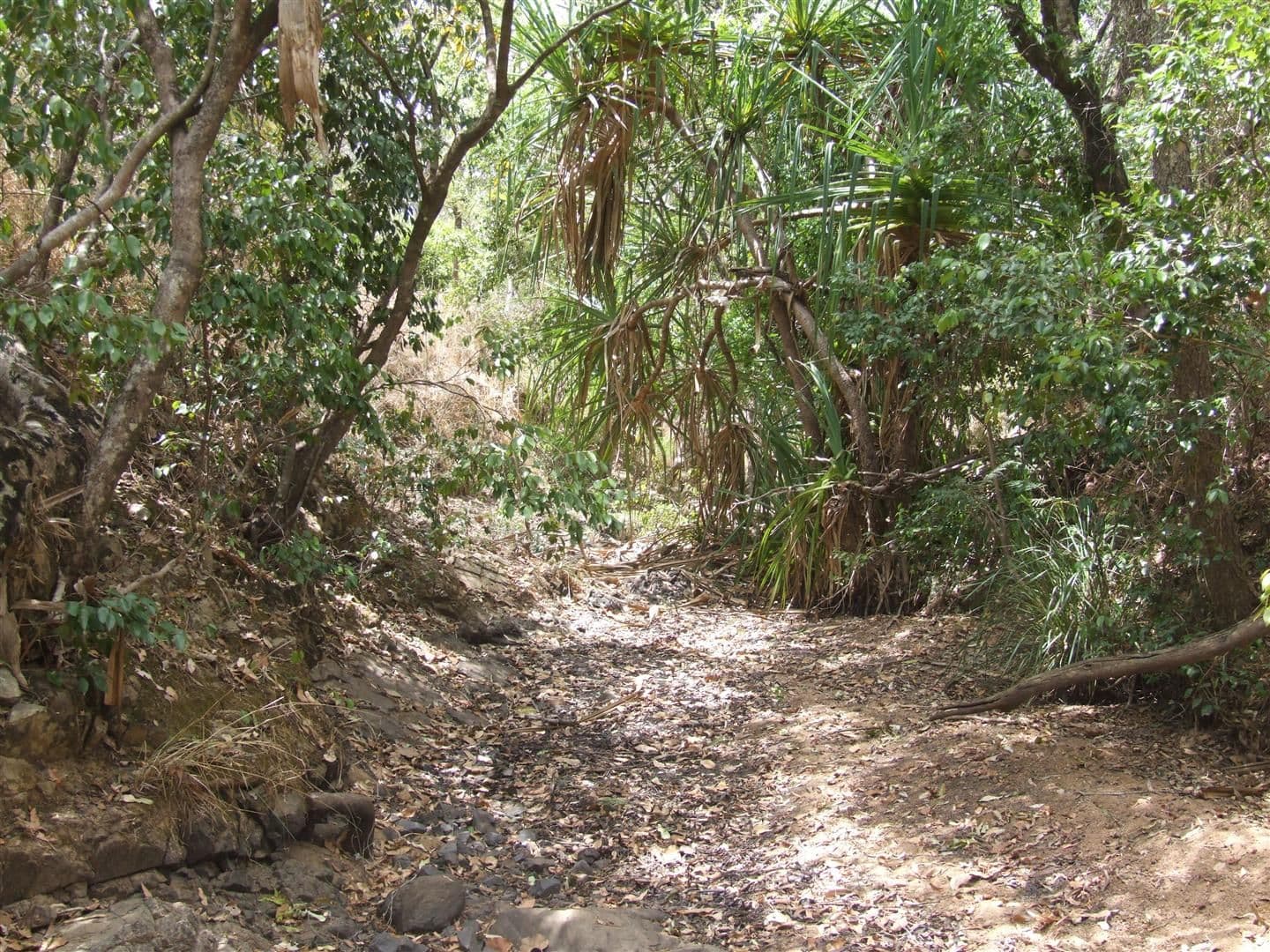 Lot 11 Thorohgood Road, KELSEY CREEK QLD 4800, Kelsey Creek - Thumbnail 8
