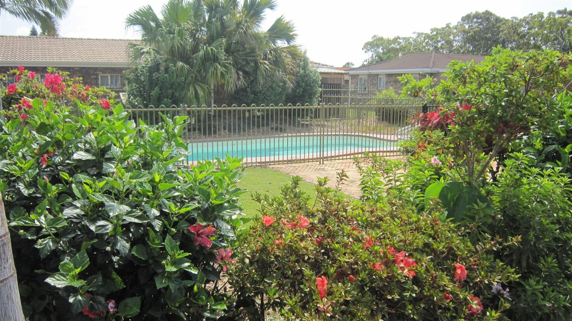 15 Thabeban Street, AVENELL HEIGHTS QLD 4670, Avenell Heights - Thumbnail 4
