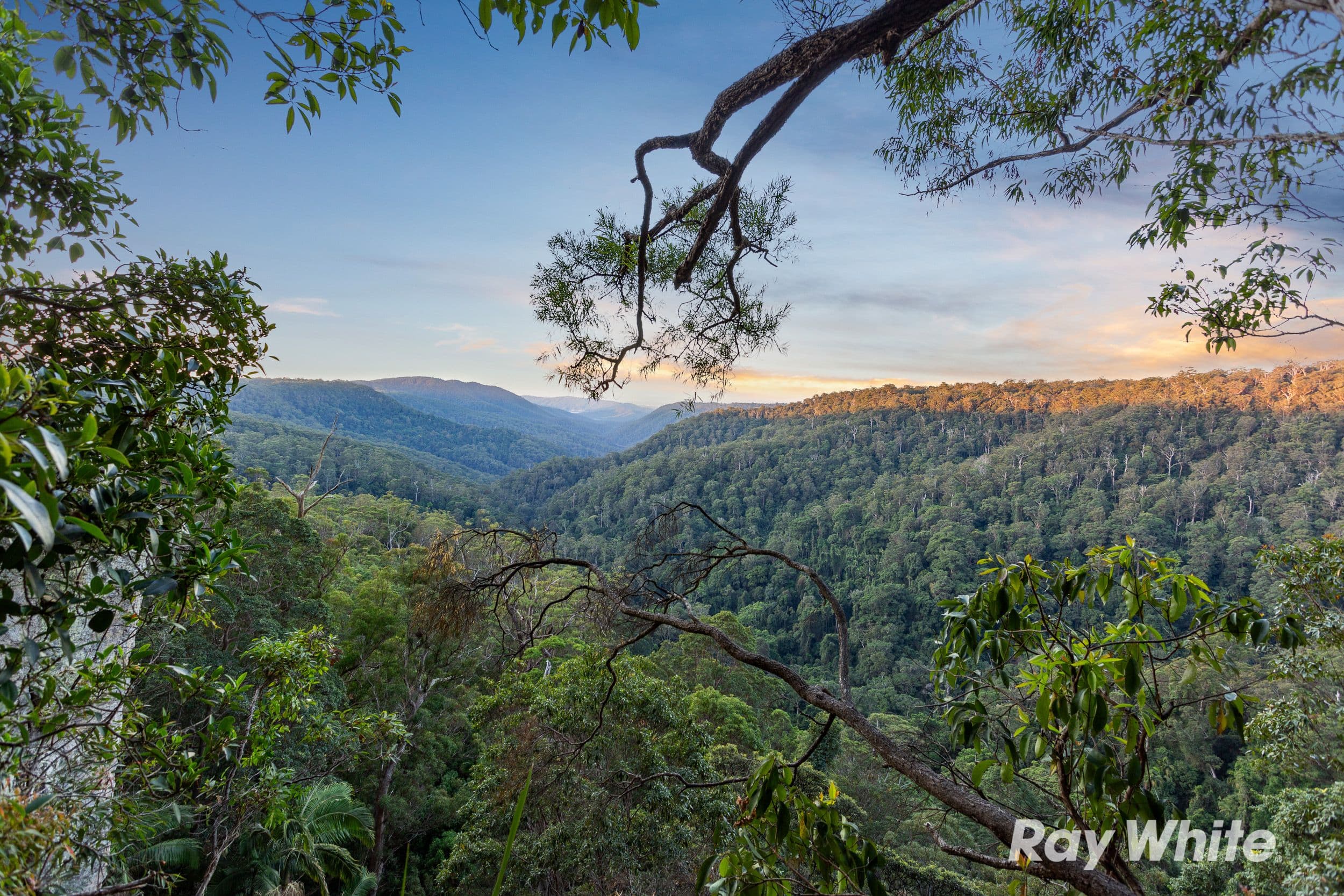 41 Gwongorella Parade, Springbrook QLD 4213, Springbrook - Image 1