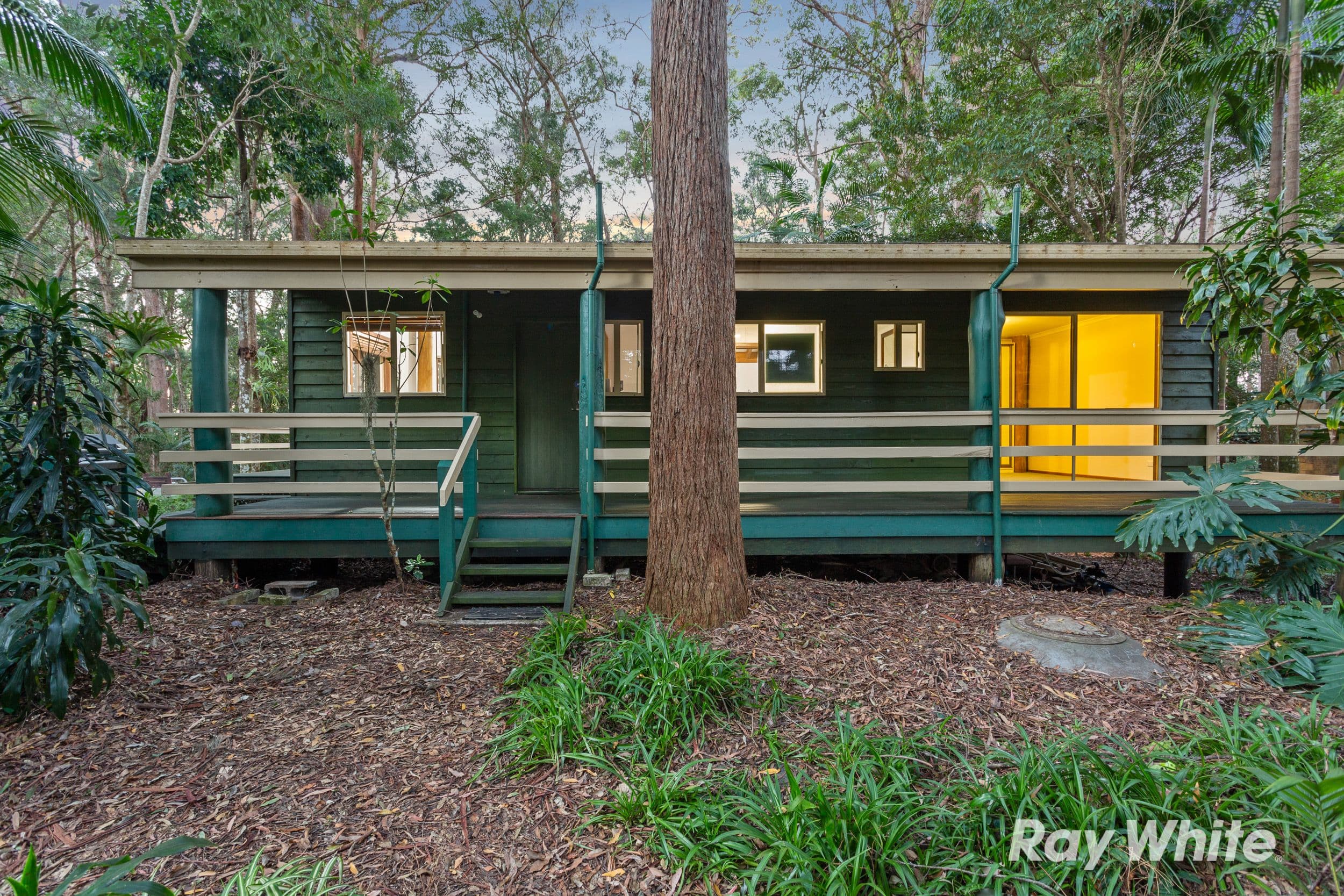 41 Gwongorella Parade, Springbrook QLD 4213, Springbrook - Thumbnail 2