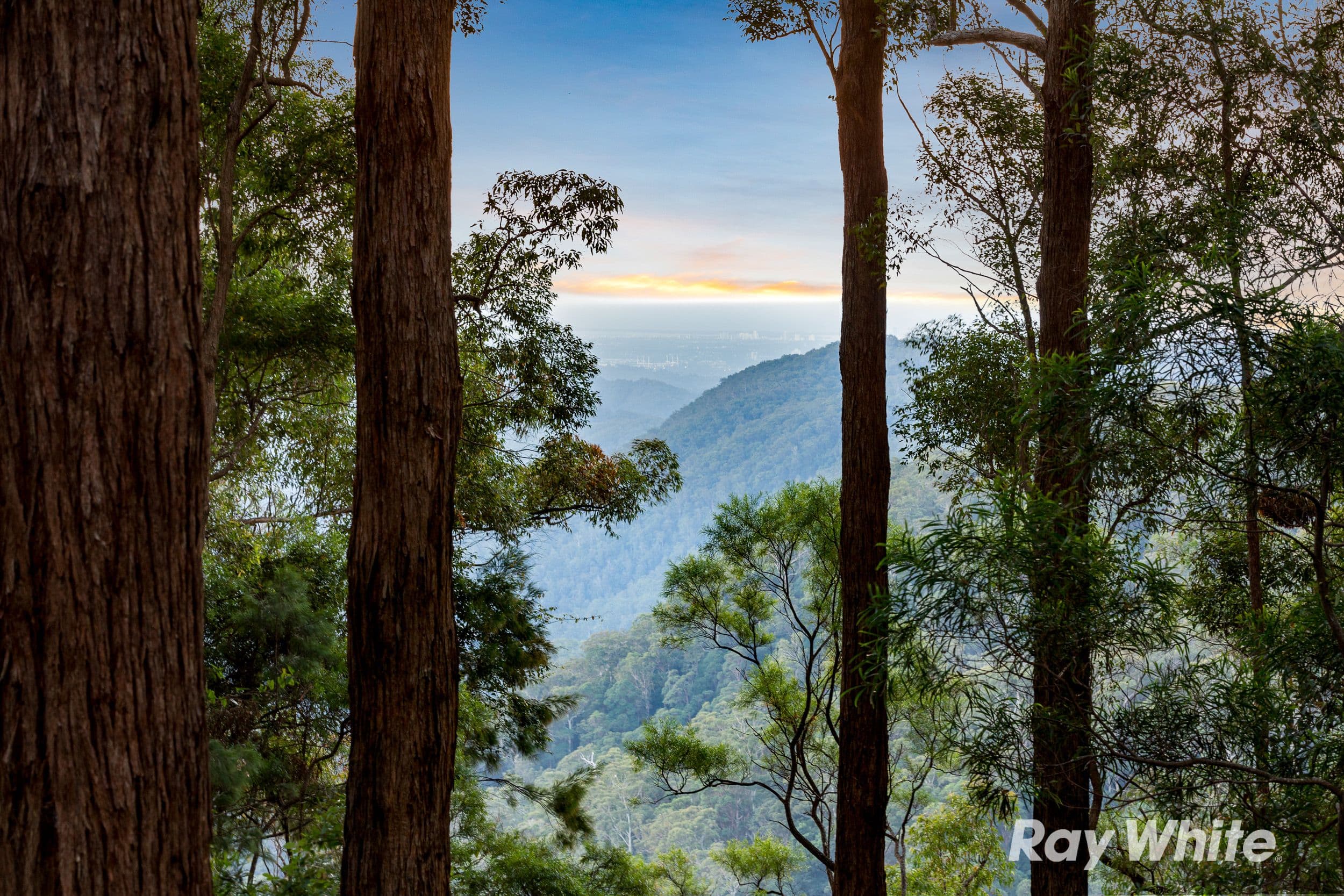 41 Gwongorella Parade, Springbrook QLD 4213, Springbrook - Thumbnail 6