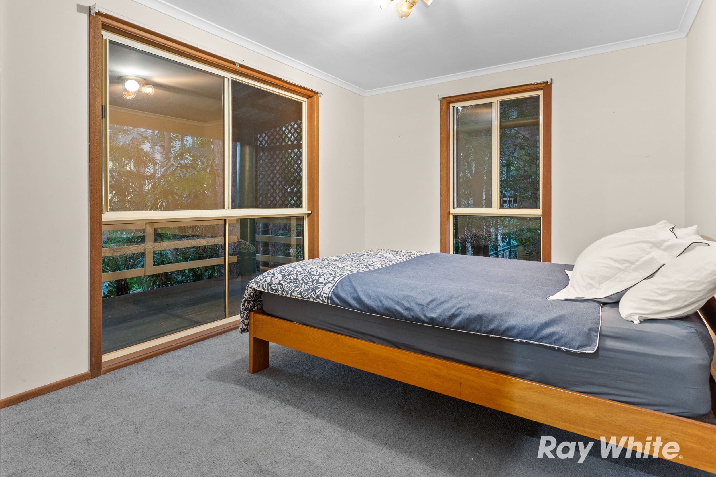 41 Gwongorella Parade, Springbrook QLD 4213, Springbrook - Thumbnail 7