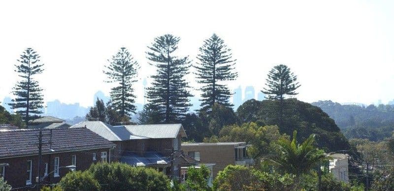 53-55 Frenchmans Road, RANDWICK NSW 2031, Randwick - Thumbnail 5