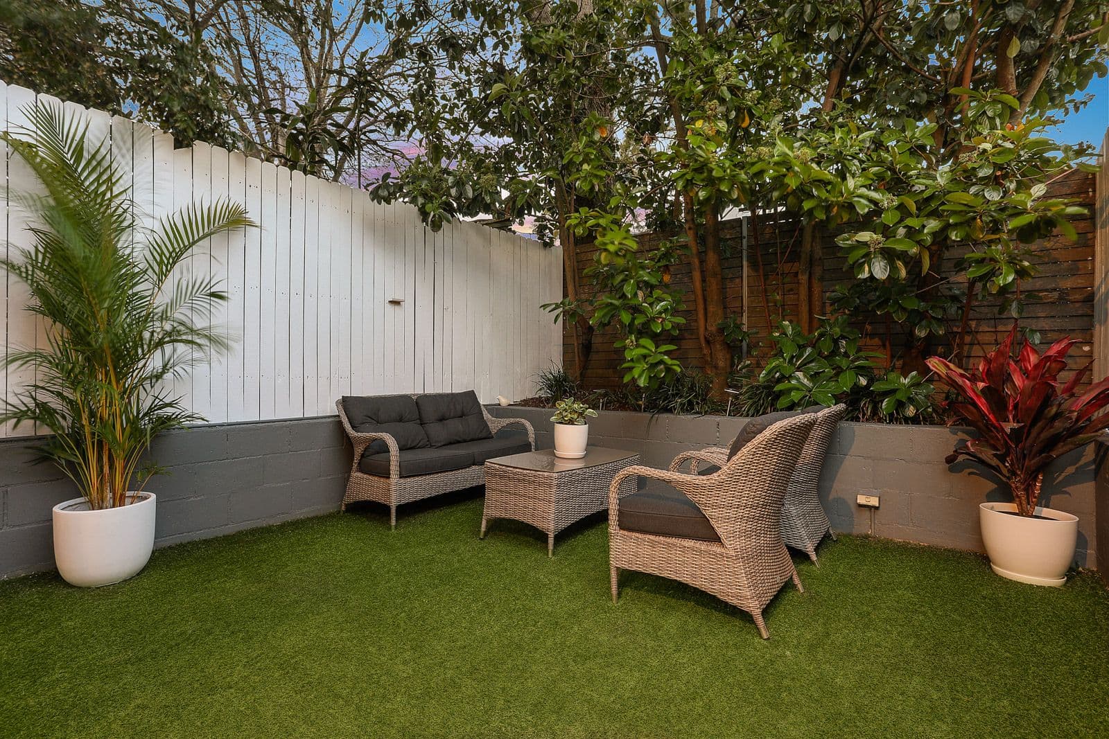 11 Percival Street, Lilyfield NSW 2040, Lilyfield - Thumbnail 4