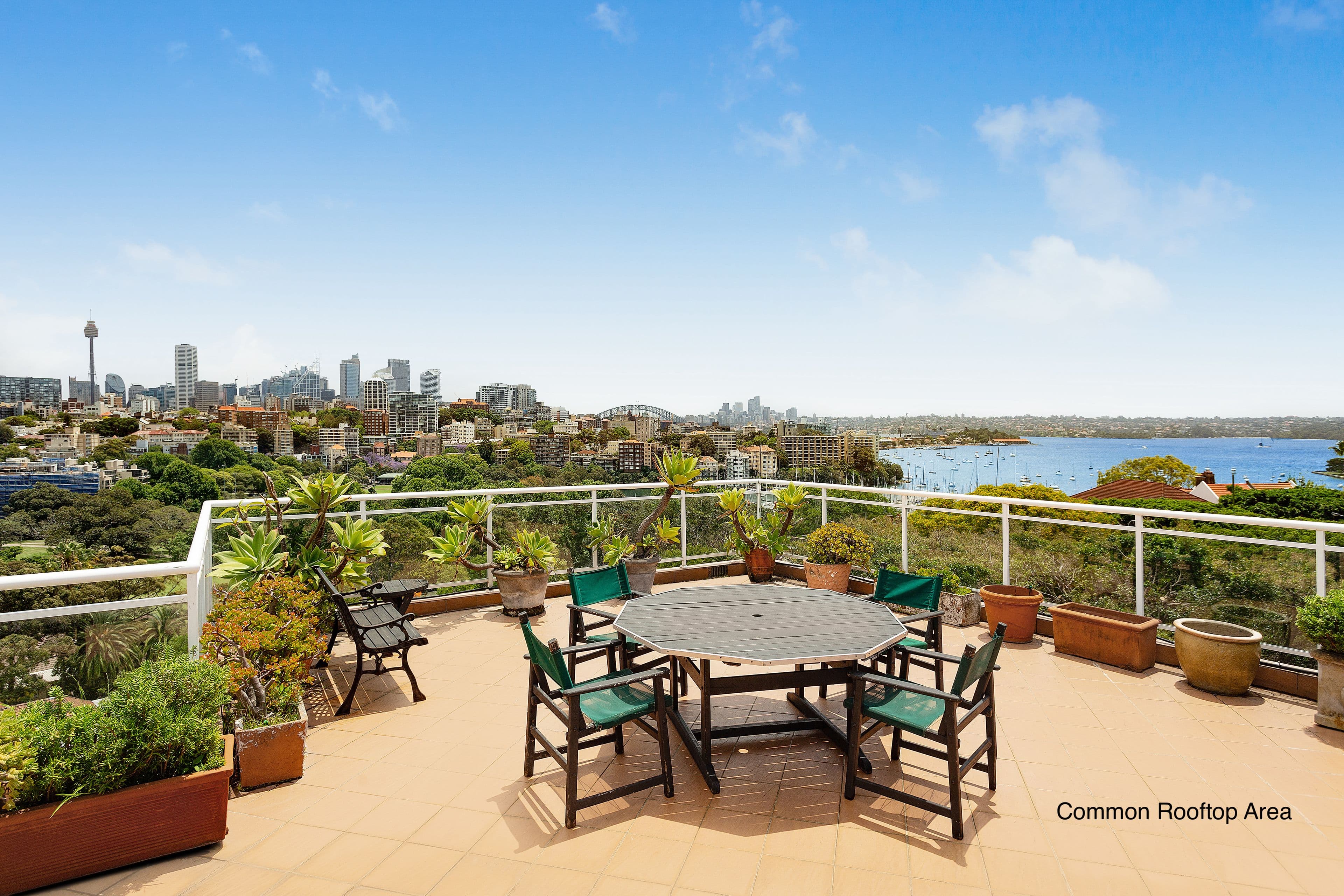 2B Mona Road, Darling Point NSW 2027, Darling Point - Thumbnail 5