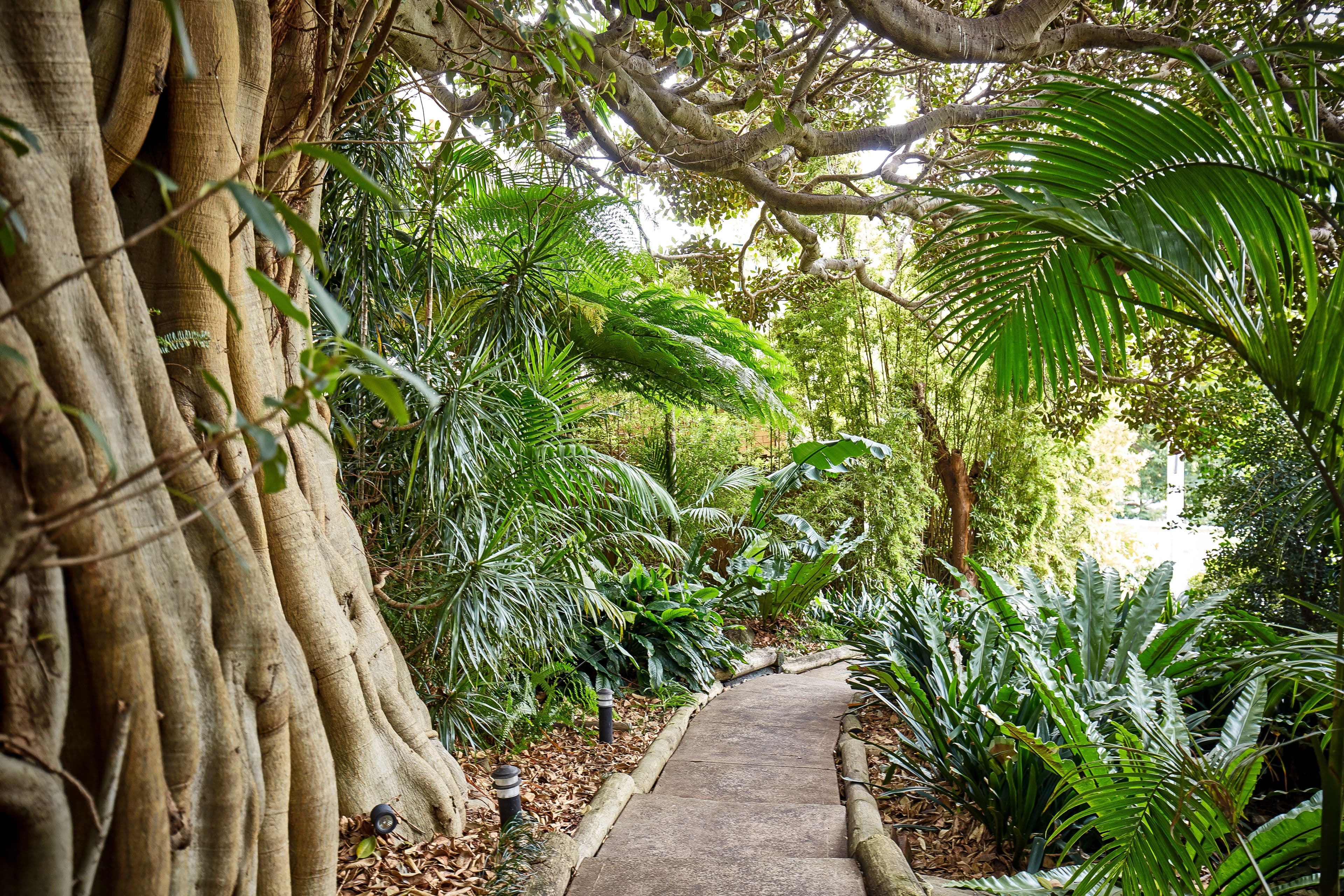 2 Ida Avenue, Mosman - Thumbnail 5