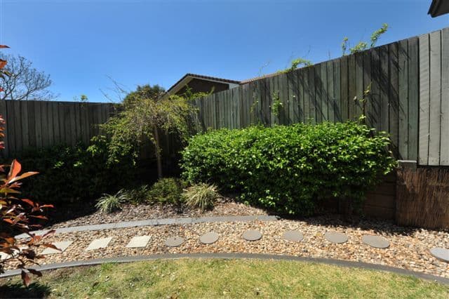  242 Mackenzie Street, RANGEVILLE QLD 4350, Rangeville - Thumbnail 6