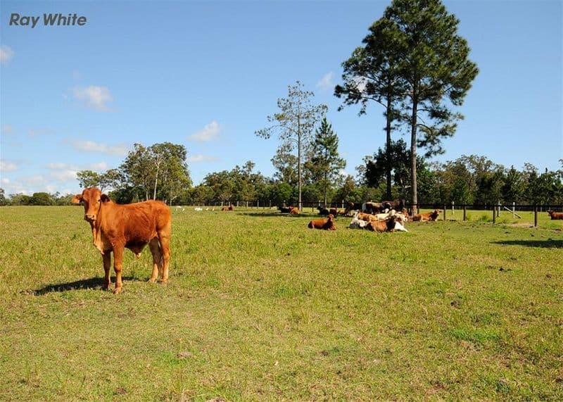 321  Beelbi Creek Road, TOOGOOM QLD 4655, Toogoom - Thumbnail 2