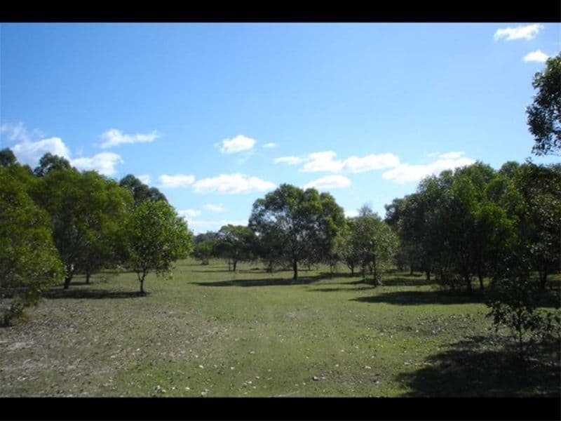 321  Beelbi Creek Road, TOOGOOM QLD 4655, Toogoom - Thumbnail 8