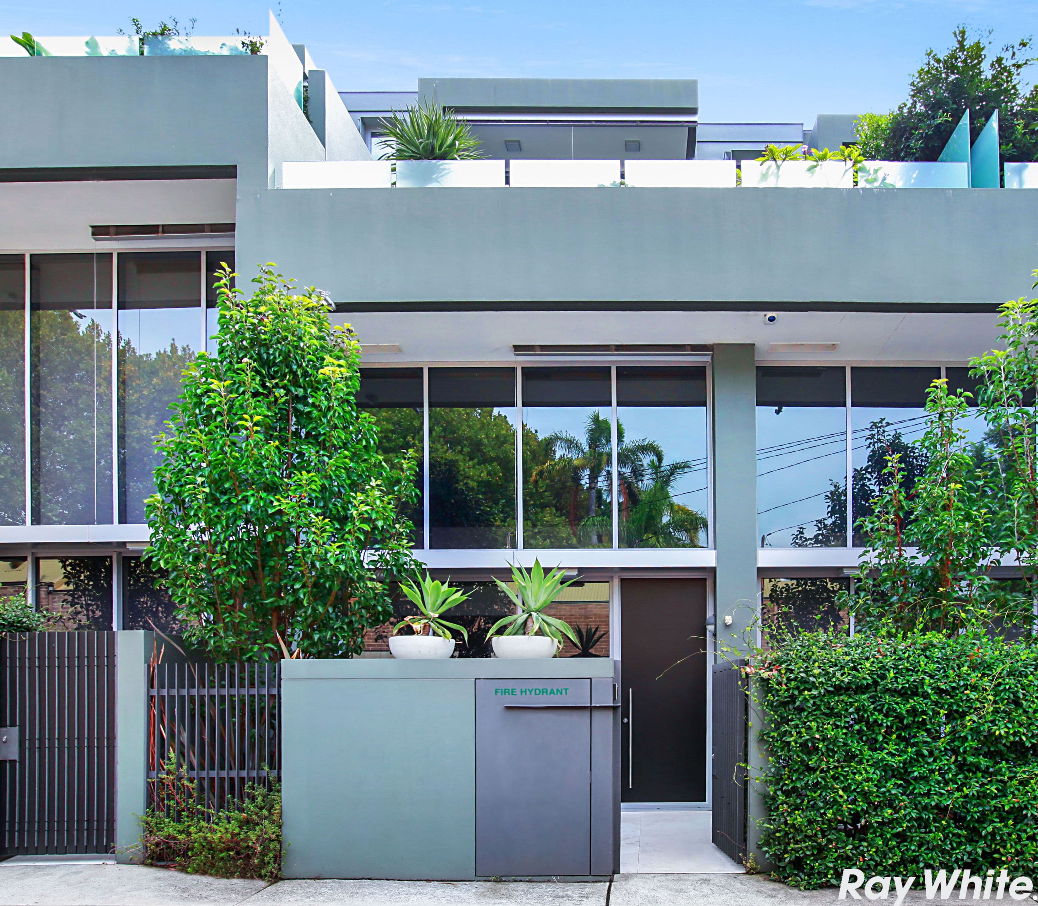 8 Roylston Lane, Paddington - Thumbnail 2