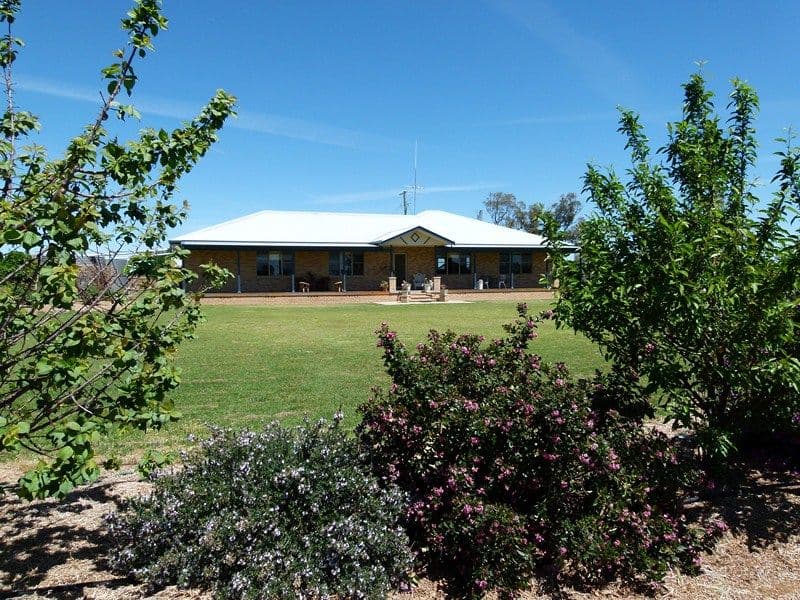 263 Inchgower Lane, FORBES NSW 2871, Forbes - Image 1