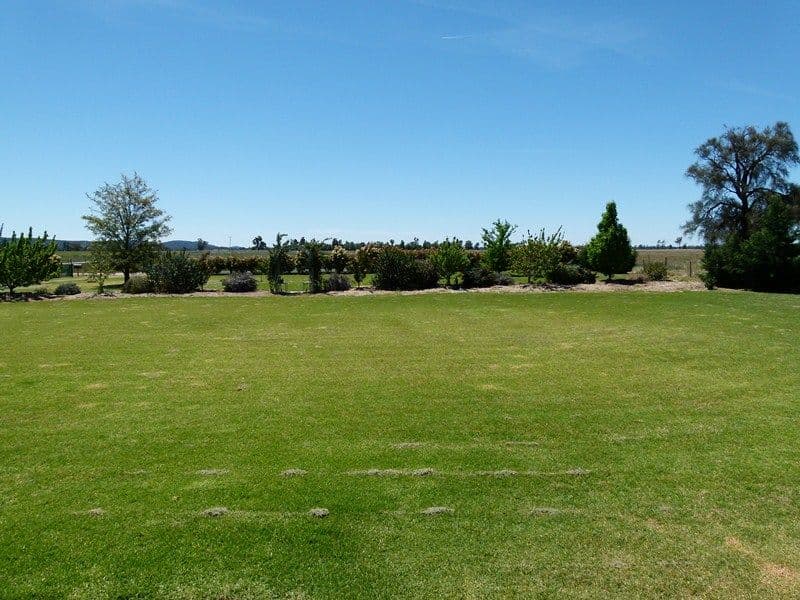 263 Inchgower Lane, FORBES NSW 2871, Forbes - Thumbnail 5