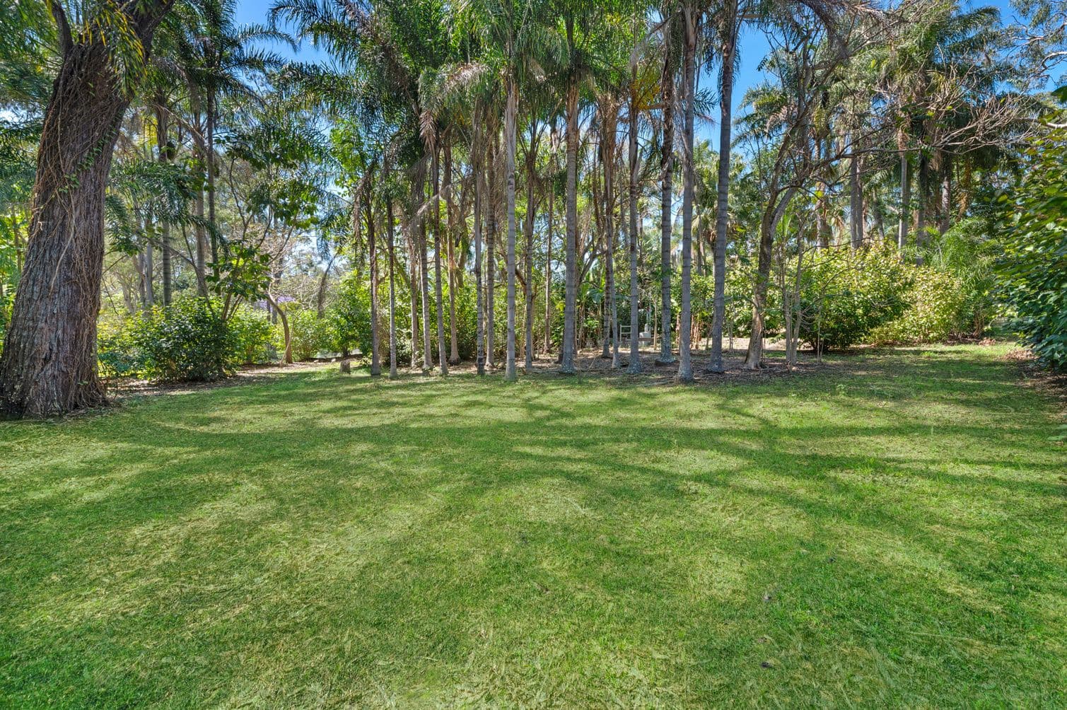 17 Warrawee Way, Pimpama QLD 4209, Pimpama - Thumbnail 6