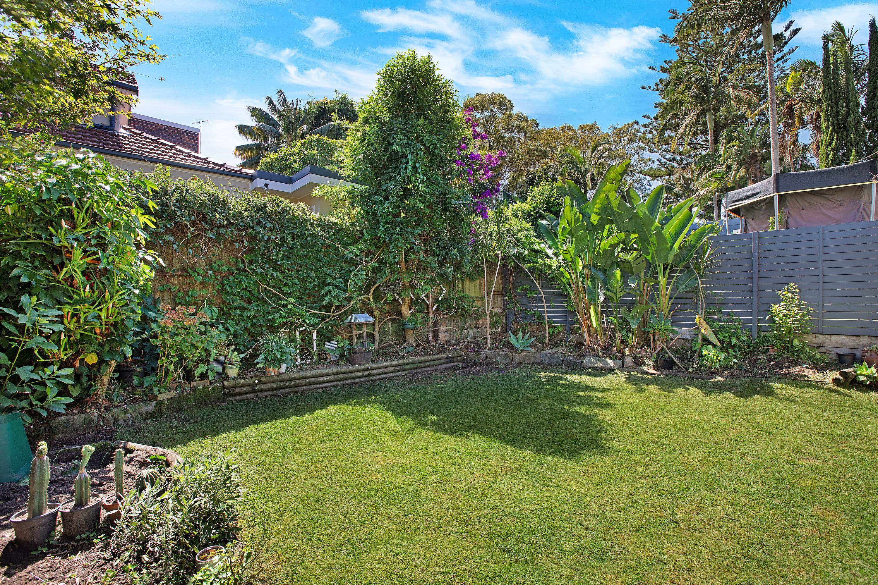 13 Coogee Street, Randwick NSW 2031, Randwick - Thumbnail 3