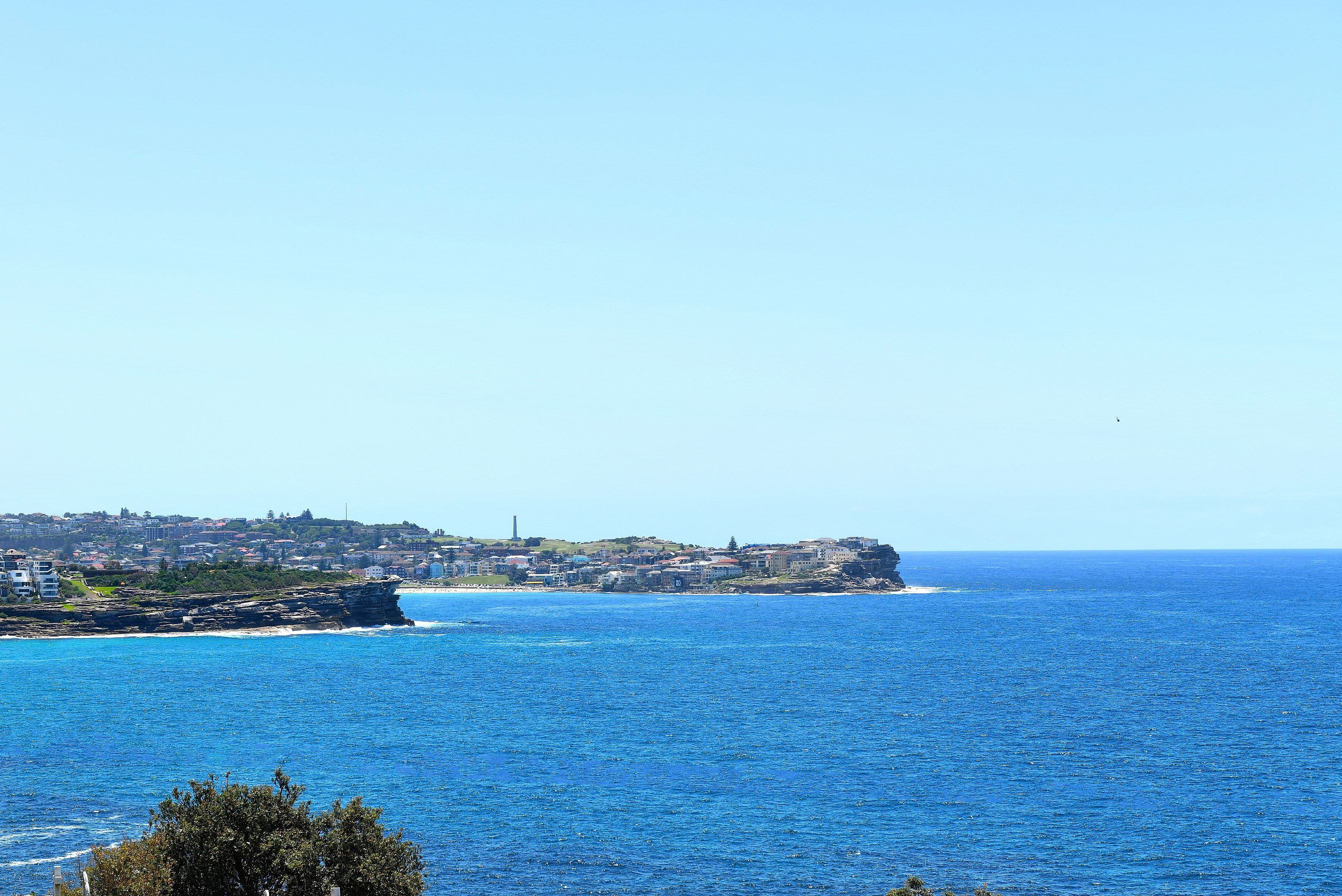 141 Boundary Street, Clovelly NSW 2031, Clovelly - Thumbnail 3