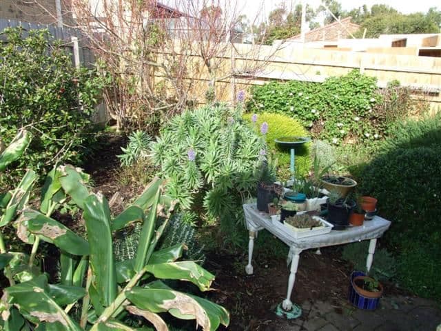 87 Chapel Street, COWES VIC 3922, Cowes - Thumbnail 7