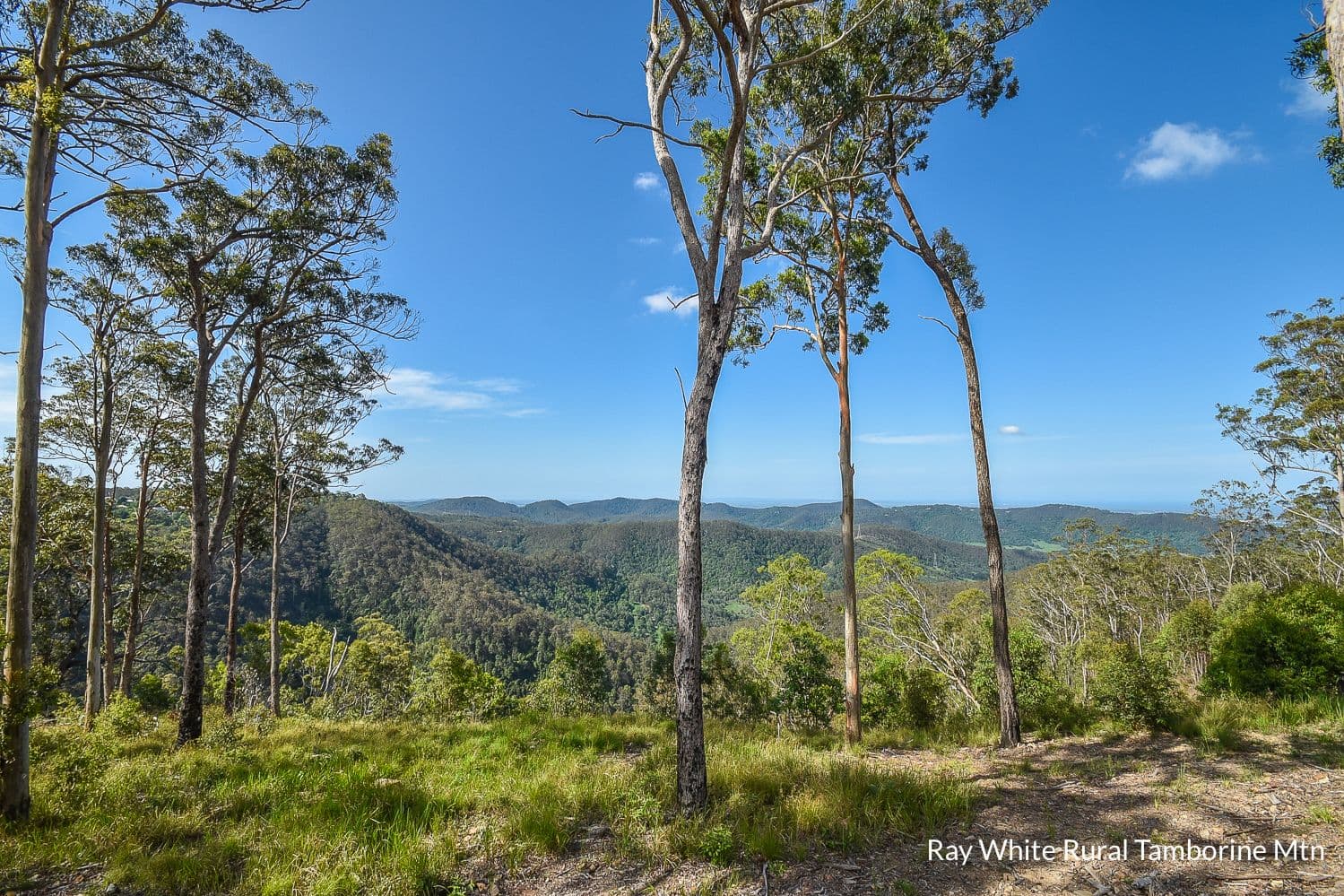 164b Wongawallan Road, Tamborine Mountain QLD 4272, Tamborine Mountain - Image 1