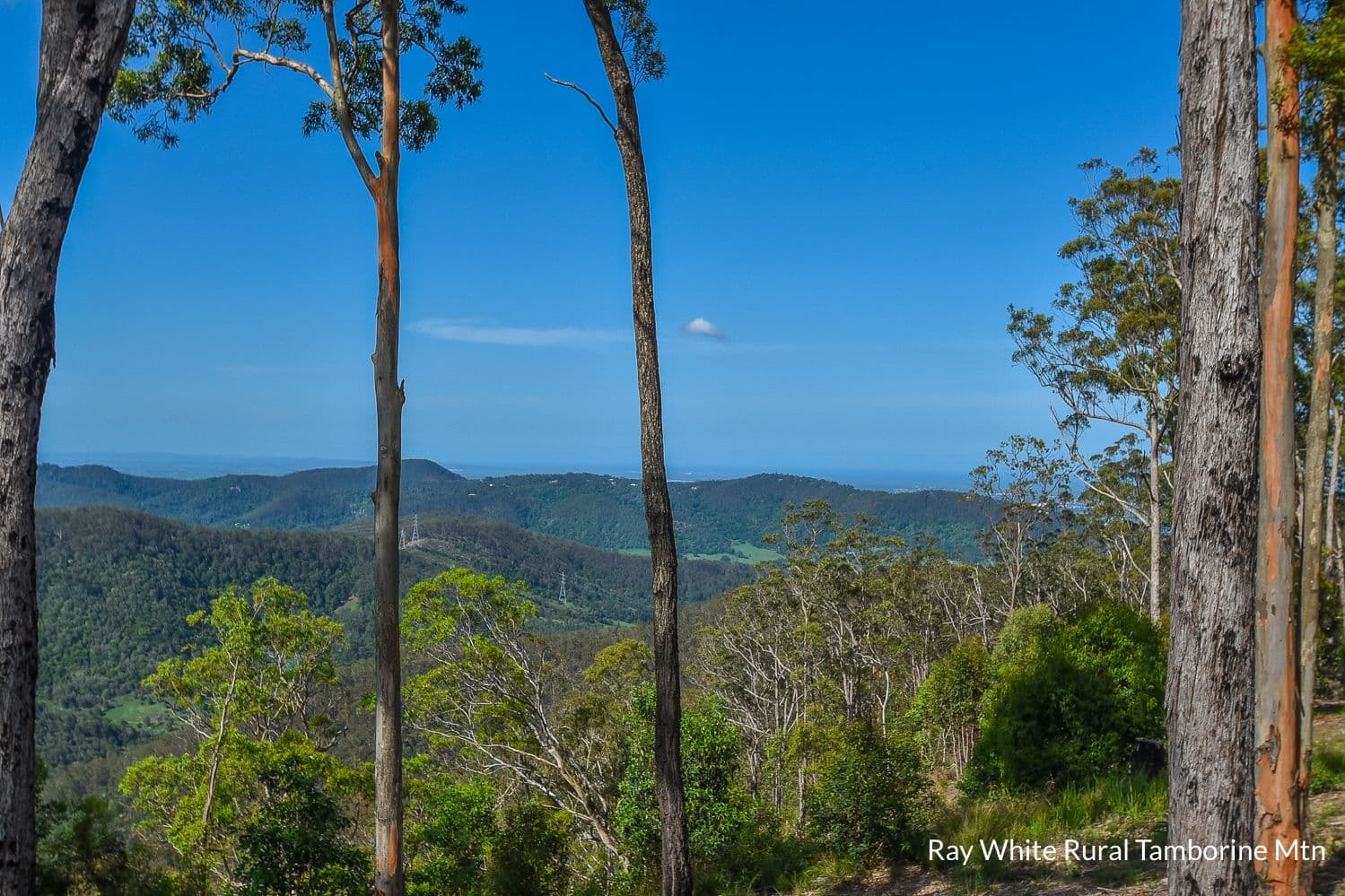164b Wongawallan Road, Tamborine Mountain QLD 4272, Tamborine Mountain - Thumbnail 3