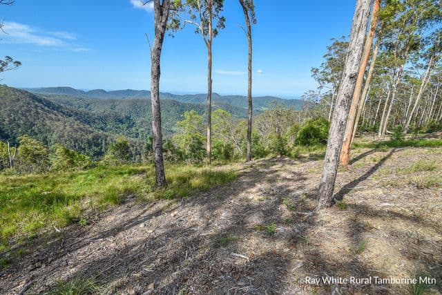 164b Wongawallan Road, Tamborine Mountain QLD 4272, Tamborine Mountain - Thumbnail 4