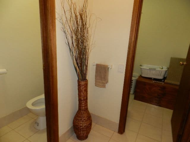 44A Queen Elizabeth Drive, BARMERA SA 5345, Barmera - Thumbnail 8