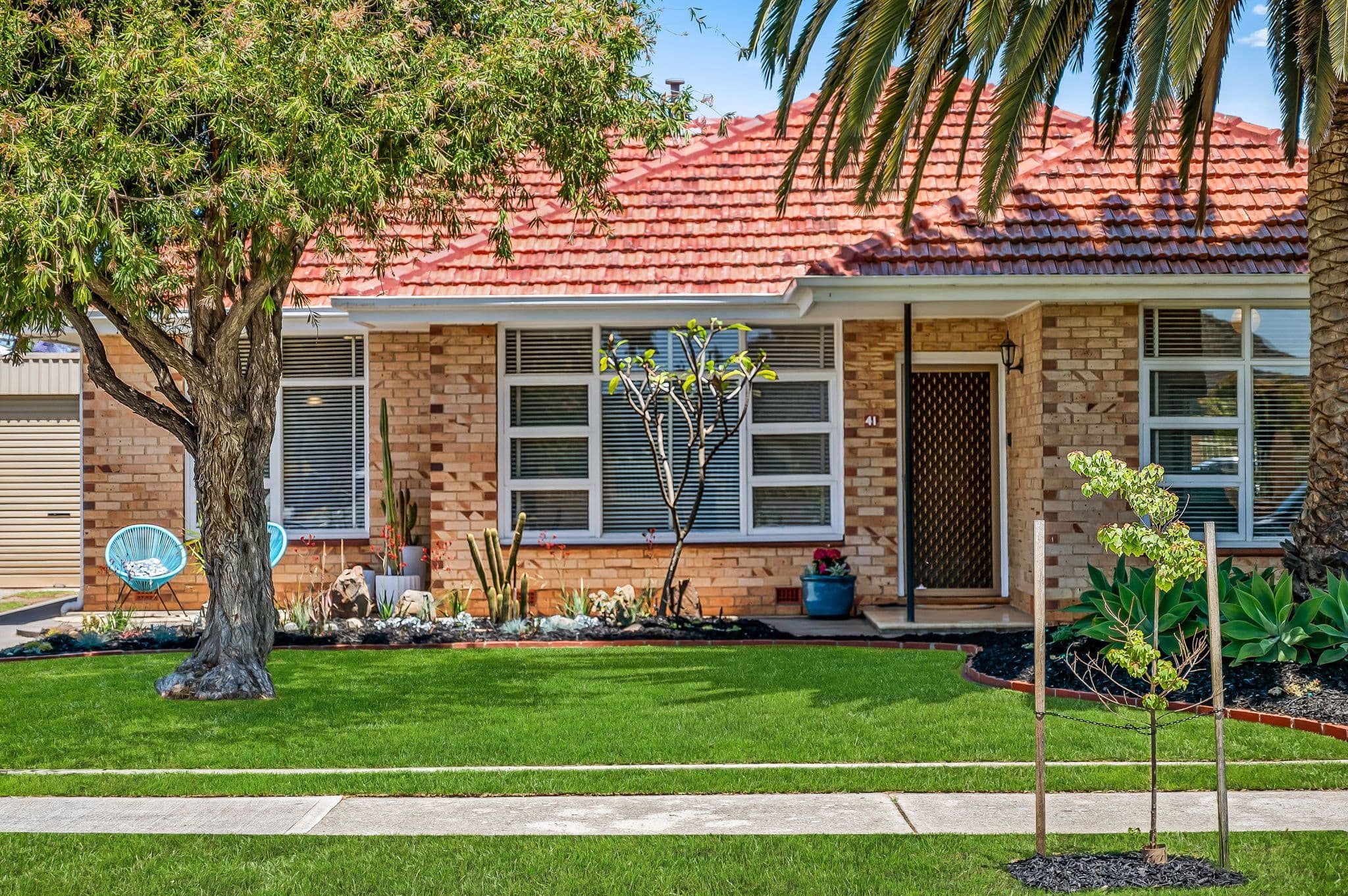 41 Shandon Avenue, Seaton SA 5023, Seaton - Thumbnail 3