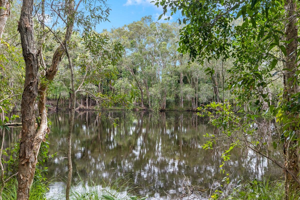 38 Vedson Street, Birkdale QLD 4159, Birkdale - Thumbnail 3