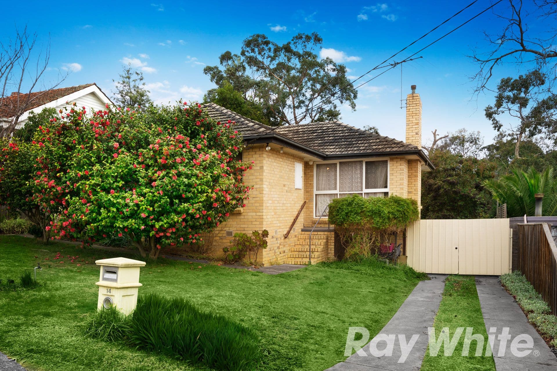 14 Dudley Street, Mitcham VIC 3132, Mitcham - Image 1