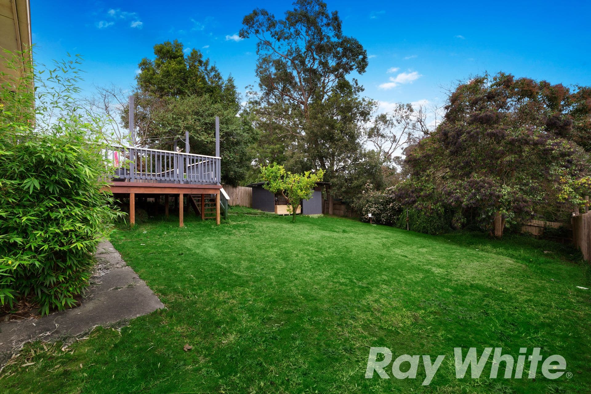 14 Dudley Street, Mitcham VIC 3132, Mitcham - Thumbnail 6