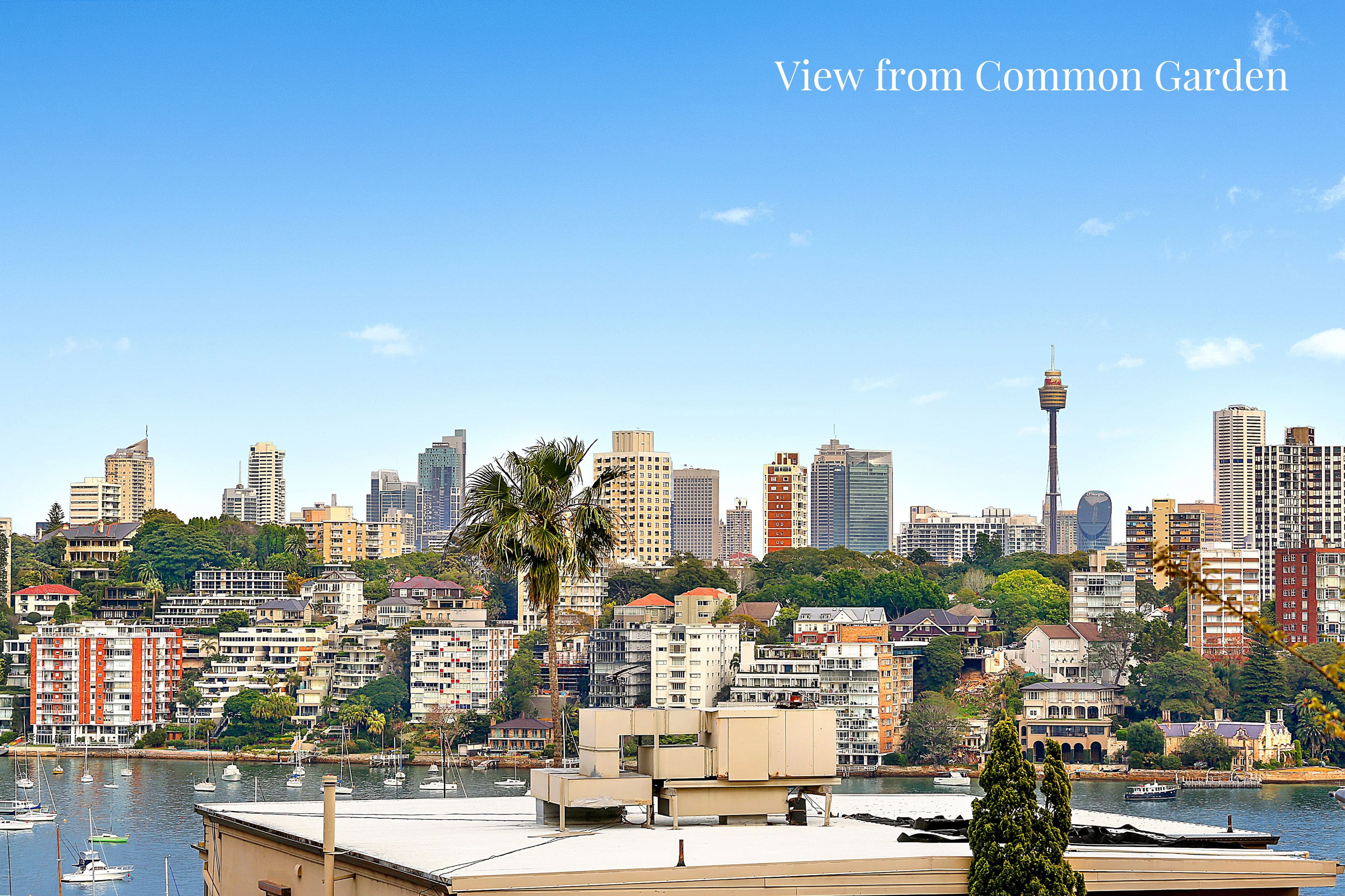 2b Wentworth Street, Point Piper NSW 2027, Point Piper - Thumbnail 5
