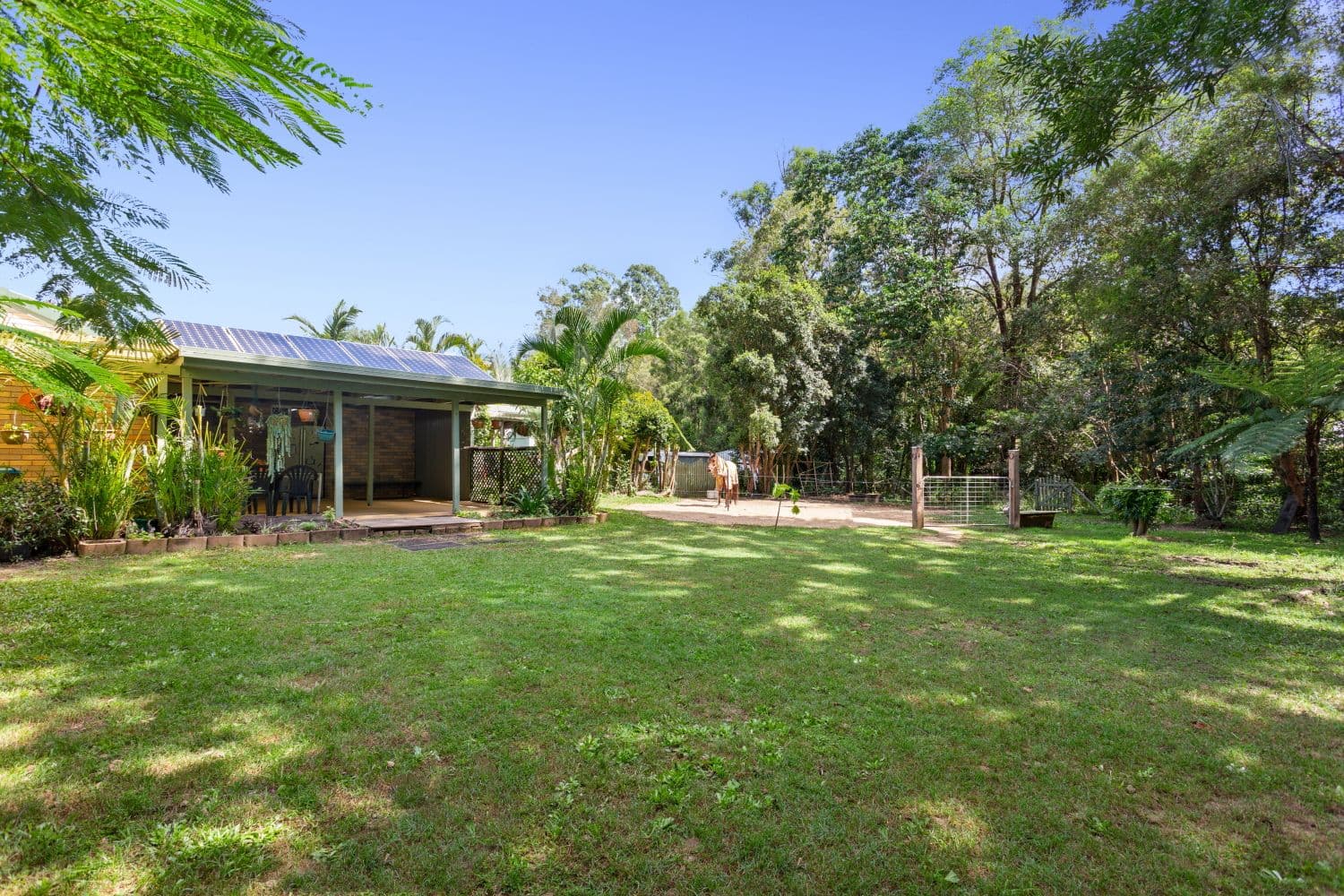 10 Einsleigh Court, Beerwah QLD 4519, Beerwah - Thumbnail 8