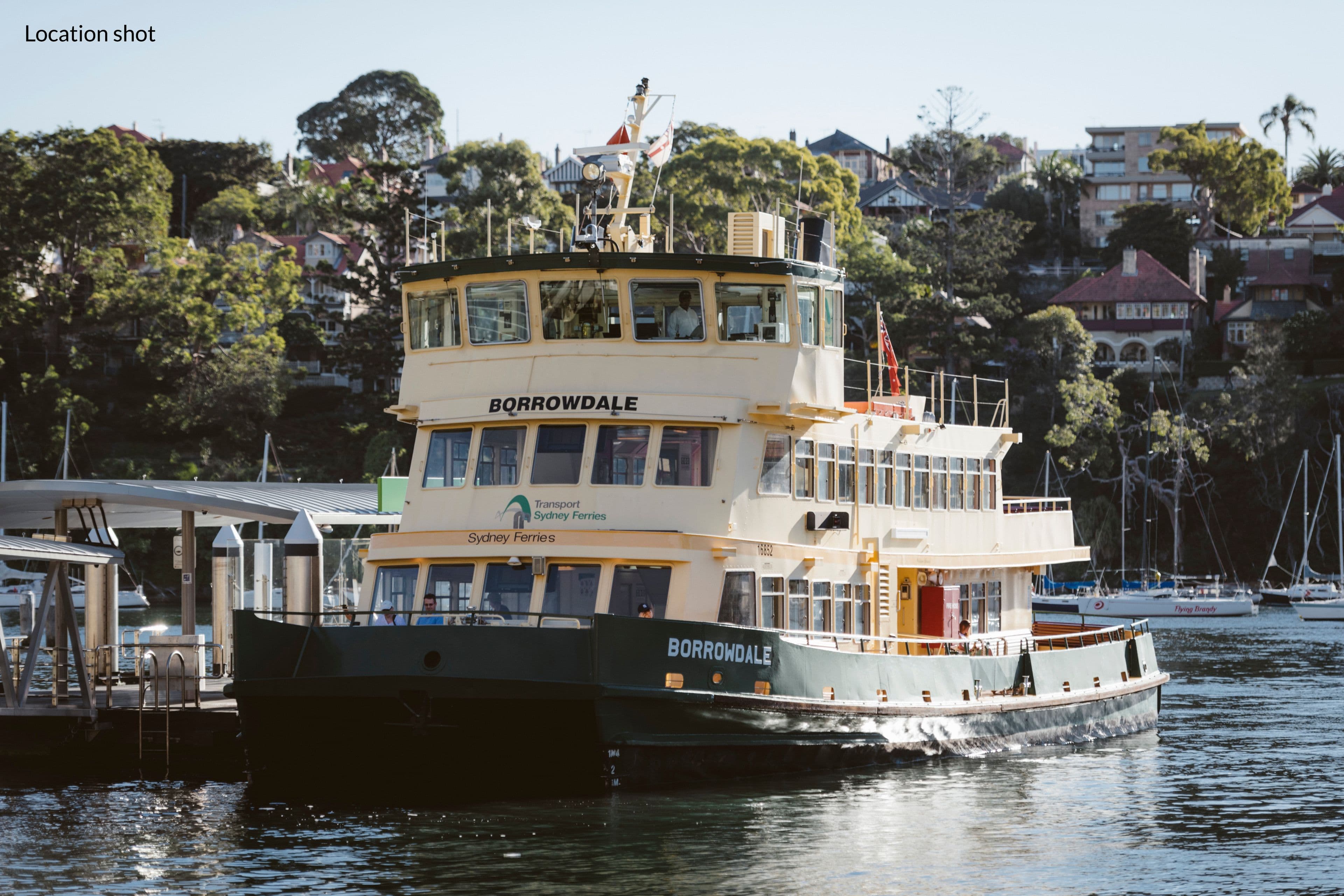 71 Avenue Road, Mosman NSW 2088, Mosman - Thumbnail 5