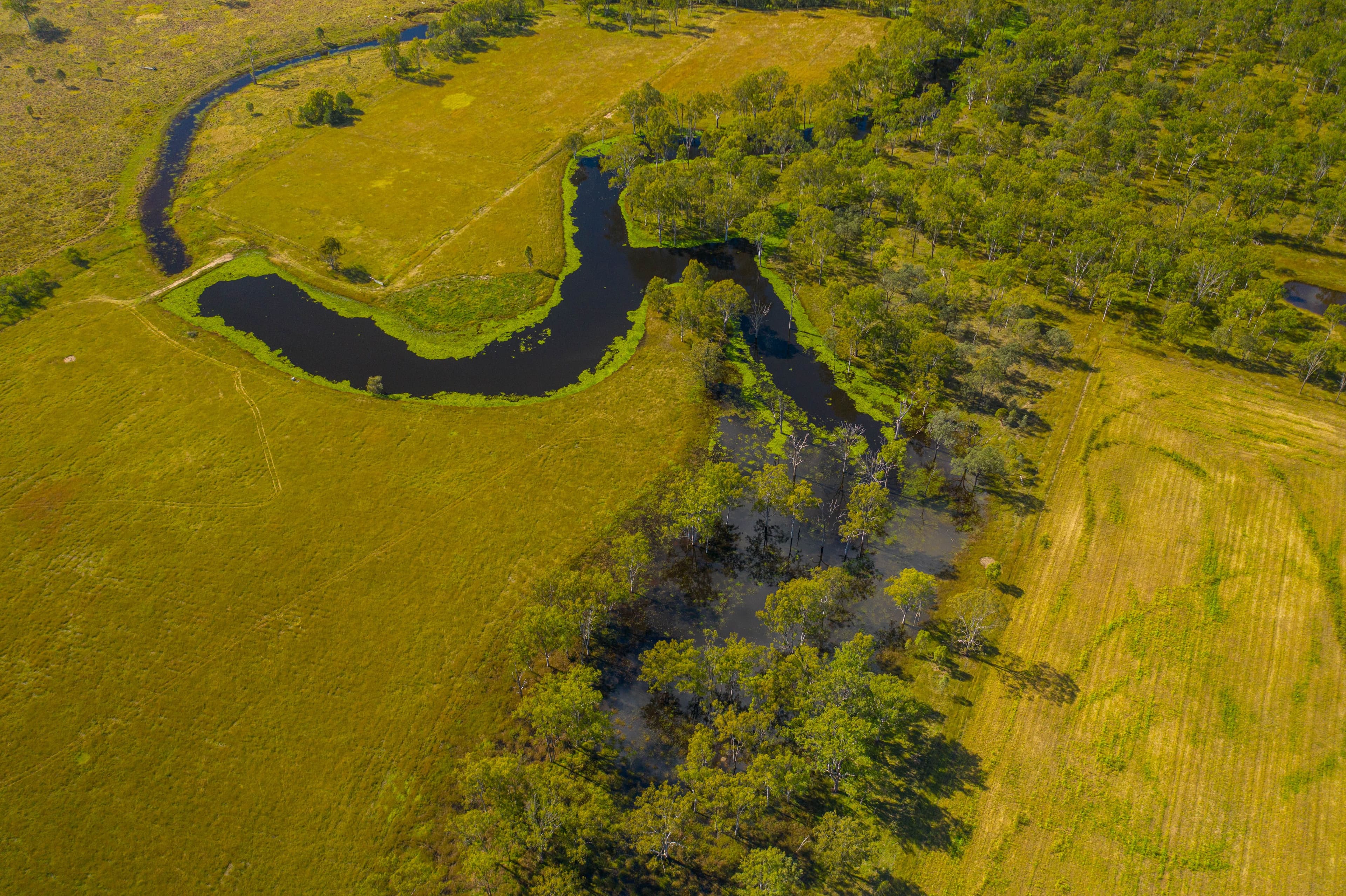 126 Middle Road, Purga QLD 4306, Purga - Thumbnail 5
