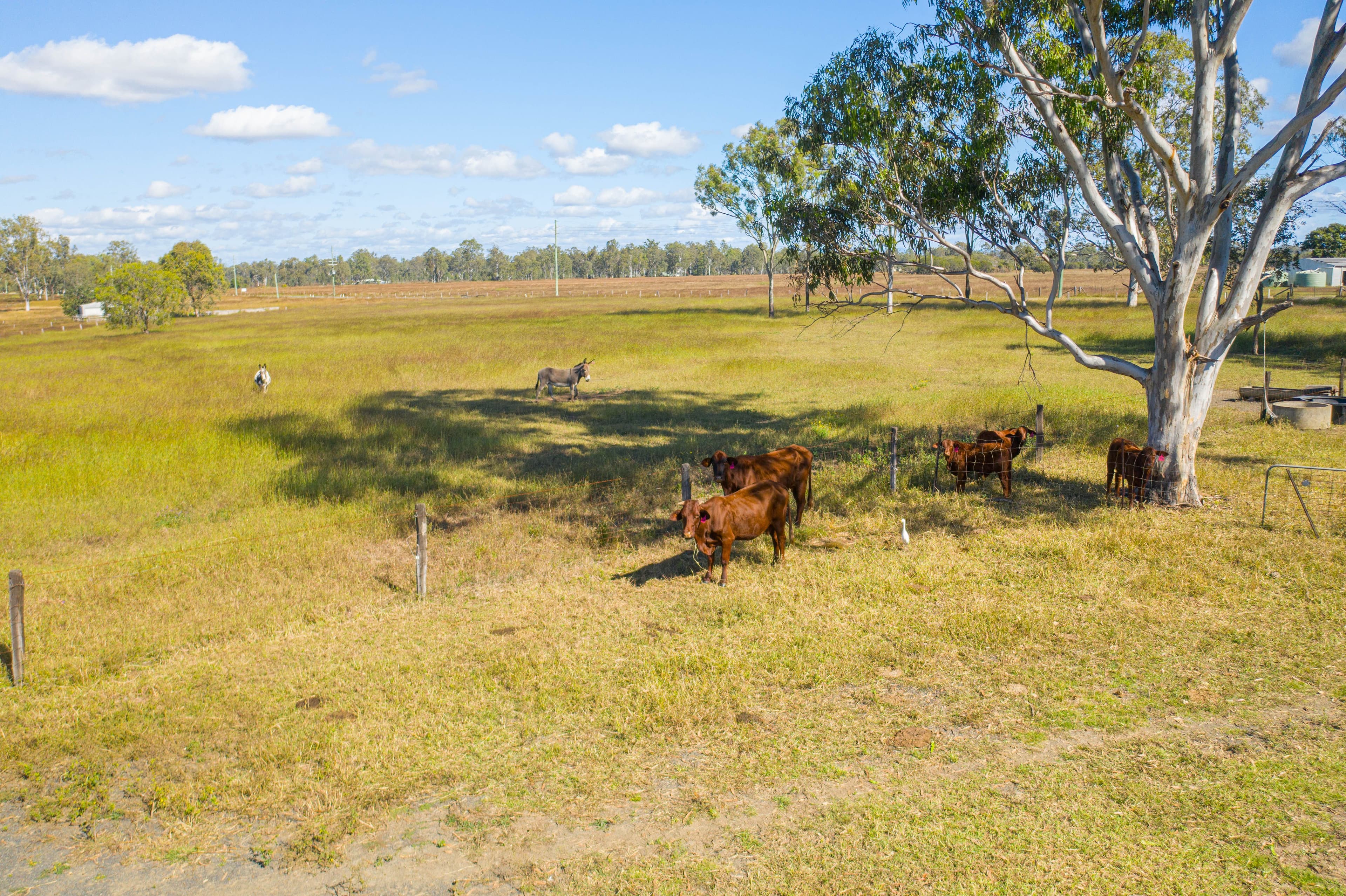 126 Middle Road, Purga QLD 4306, Purga - Thumbnail 6