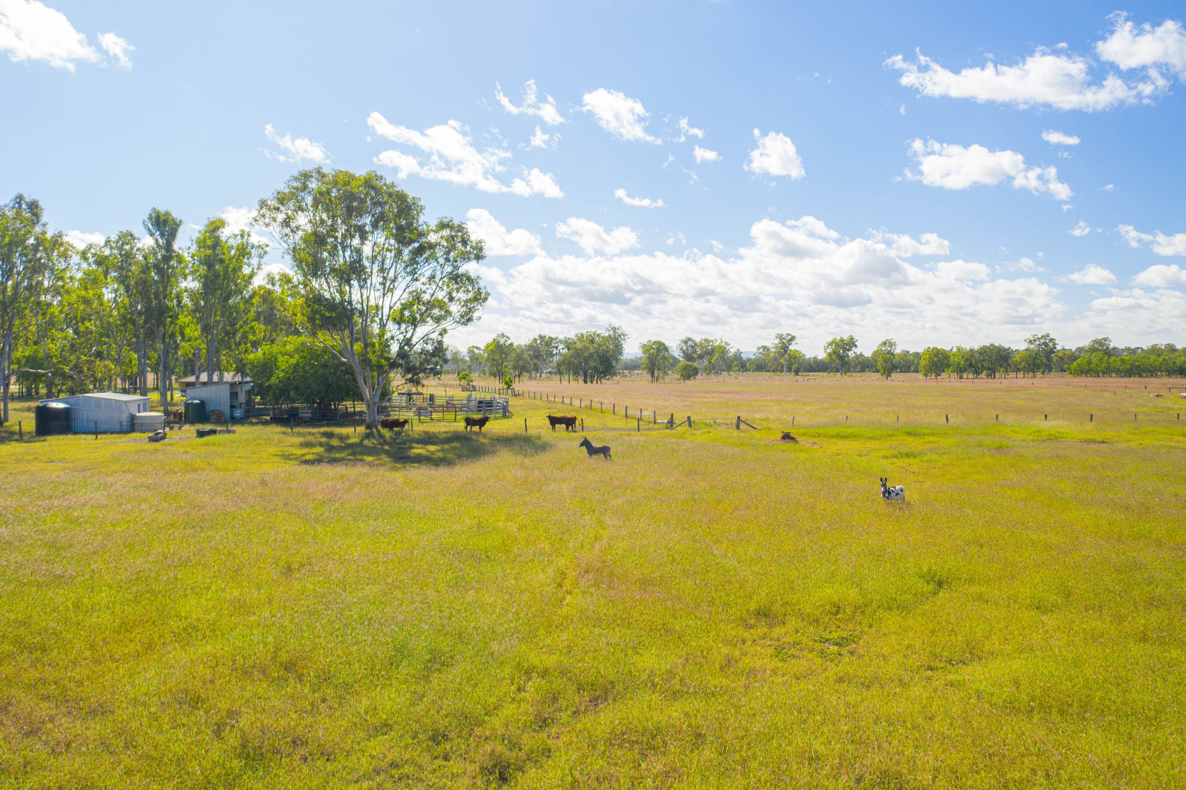 126 Middle Road, Purga QLD 4306, Purga - Thumbnail 8