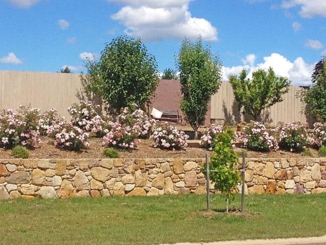 7 Mc Cusker Drive, BUNGENDORE NSW 2621, Bungendore - Thumbnail 2