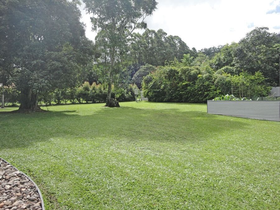 Carrington QLD 4883, Carrington - Thumbnail 6