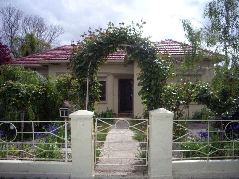 17 Haynes Street, BORDERTOWN SA 5268, Bordertown - Image 1