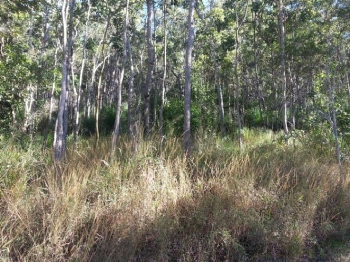 Lot 138 Saltwater Creek Road, PRESTON QLD 4800, Preston - Image 1