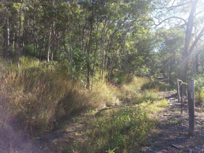 Lot 138 Saltwater Creek Road, PRESTON QLD 4800, Preston - Thumbnail 3