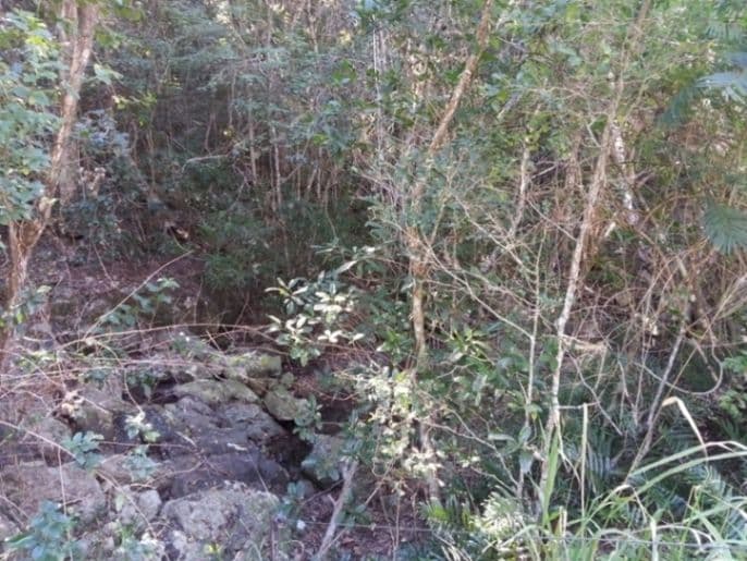 Lot 138 Saltwater Creek Road, PRESTON QLD 4800, Preston - Thumbnail 4