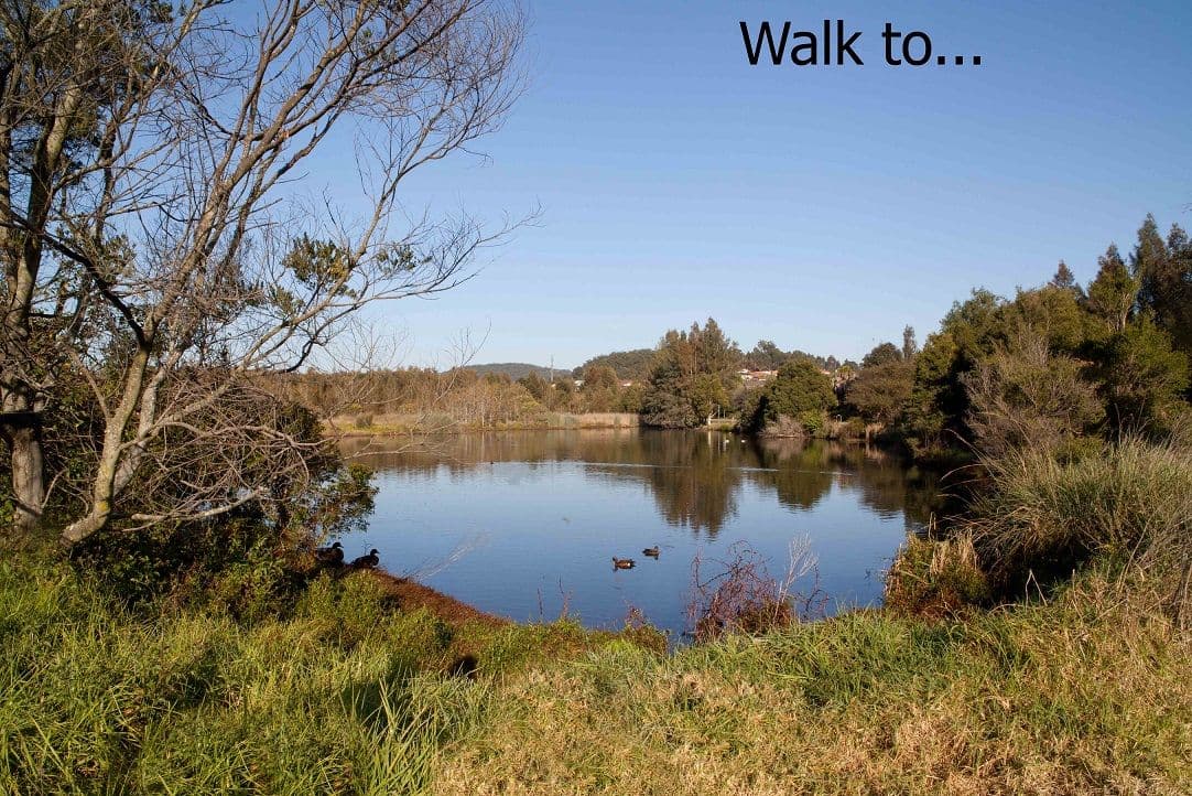 142 Woodbury Park Drive, MARDI NSW 2259, Mardi - Thumbnail 4