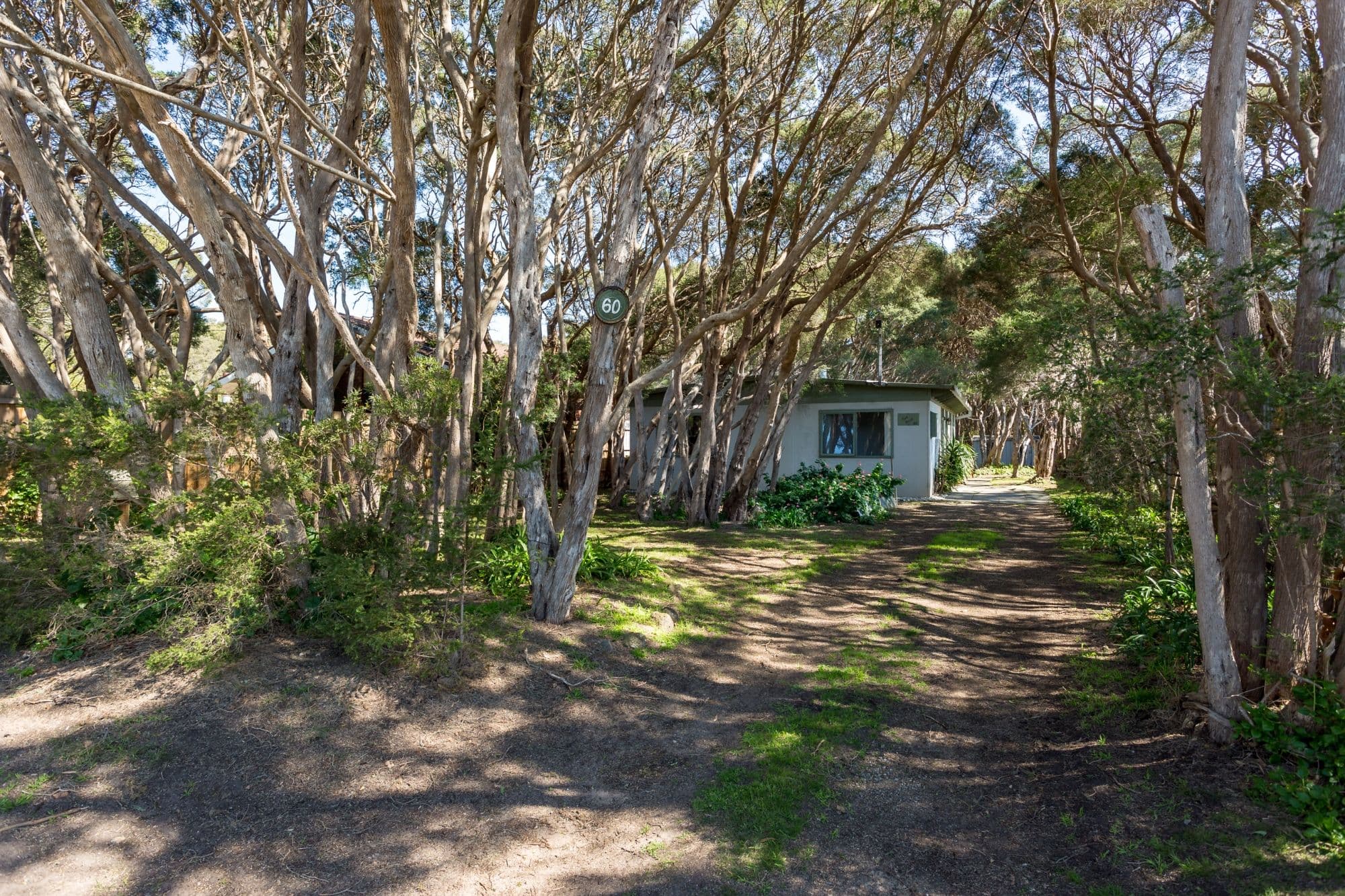 60 Michael Street, Rye VIC 3941, Rye - Thumbnail 2